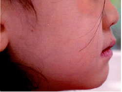 20180914-1.pngのサムネール画像